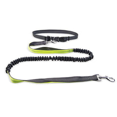 Dog Walking Belt